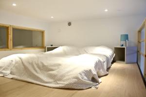 Appartements Atypical Apartment - Jardin Des Plantes : photos des chambres