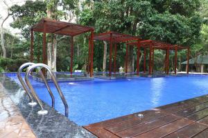 Sea Shell Samssara
