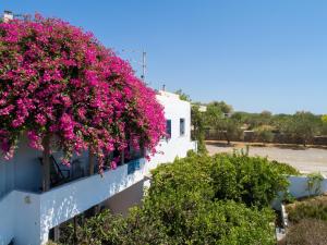 Margarita Apartments Lasithi Greece