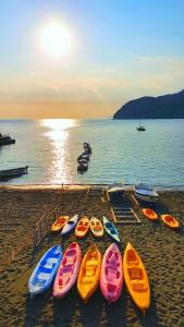 Dai Fiorentini - Apartment in Levanto