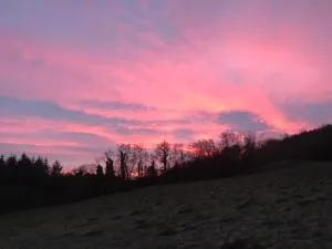 Forest View - Castlewellan, County Down - Gransha