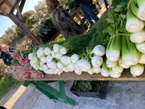 Onda Marina Calasetta img18