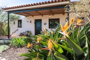 Live La Laguna Casita Vieja