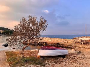 APATRMANI TUTA Kukljica