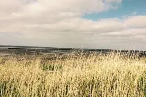 Ferienwohnung Nr. 2 - Düne - 韦尔杜姆