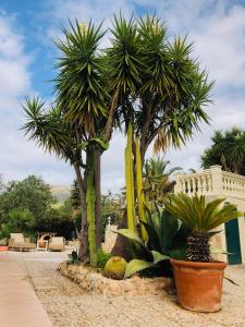 Finca Randa Llucmayor bis 3 SZ Pool Garten