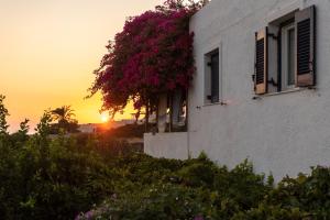 Margarita Apartments