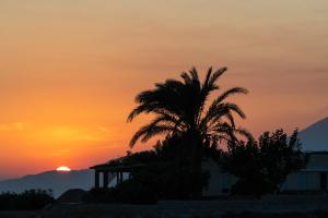 Margarita Apartments