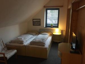 Penzion & Restaurant Pod Čerťákem