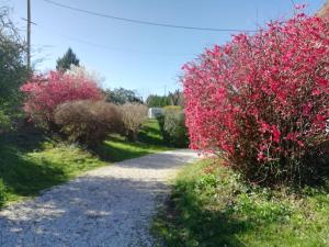 Appartements The Studio, : photos des chambres