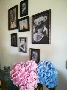 B&B / Chambres d'hotes Ty Coz Breizh Chambres d'hotes : photos des chambres