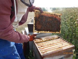 B&B / Chambres d'hotes A la Haute Bouillere : photos des chambres