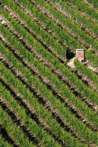 Agriturismo Cascina Rabalot