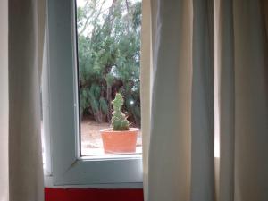 La Antonieta Estancia de Mar