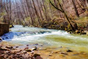 A Waterfall Retreat- Waterfall, Cozy Cabin Retreat in the Smokies Comfort & Fun for All