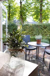 Bed & Breakfast Uiterburen