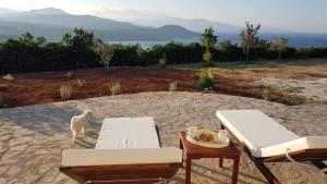 Marina Deluxe Apartments Lasithi Greece