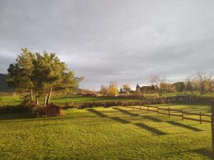 Domek w Białej - Bławatek