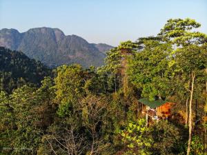 Tree Houses by Jungle River