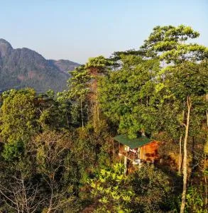 Tree Houses by Jungle River - Ambagamuwa
