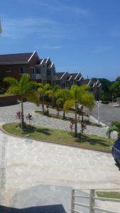 Tropical Luxury Dreams