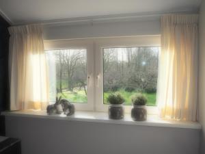 Bed & Brochje Burgum