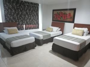 Hotel Buena Vista Express