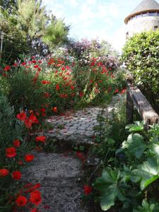 B&B / Chambres d'hotes La Tour du Moulin Geant : photos des chambres