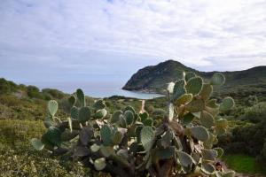 Lananai - eco b&b img73