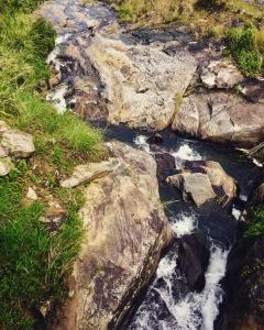 Ceylon Saradiel Home Stay