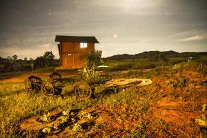 Raizando Ecologia Humana