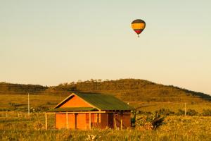 Raizando Ecologia Humana