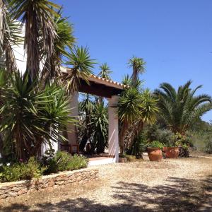 Apartment with Terrace room in Apartamentos Laura Playa de Migjorn