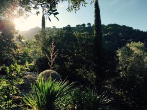 Il Borghetto sul Golfo