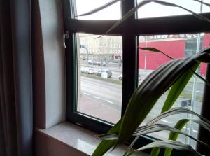 Apartamenty Krzywe Okna