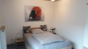 1 Zimmer Appartment - Springe