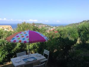 Panoramic Seaview studio Tiuccia