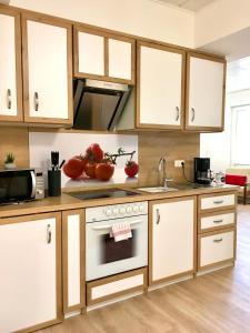 Apartman Schlafen wie Zuhause Avianaart Monteur und Ferienwohnung Rahden Németország