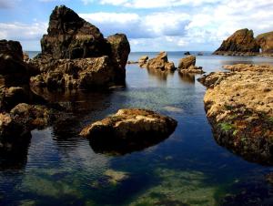 Beach Haven Apartments