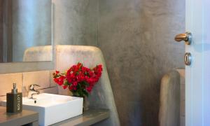 Anima Apartments Folegandros Greece