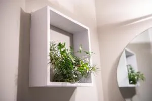 Tra Cielo e Terra - Quasani