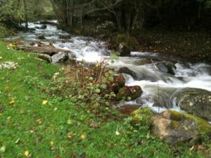 Maisons de vacances Chalet les Eglantines : photos des chambres