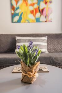 Freesia #colony_Urban_apartment