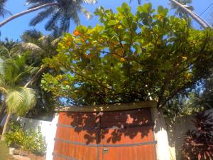 Charlottes Coral Breeze - A Colonial Seaside Bungalow