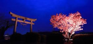 HOTEL MYTH-Resort -ホテル マイス リゾート- adult only