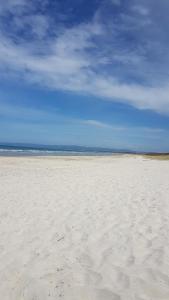Thistle Do Beach Bach