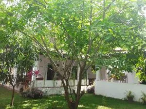 Disna Homestay - Galkadawala
