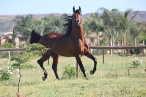 Maretlwane Guesthouse