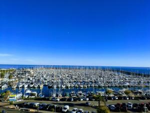 Appartements Les Aigues Marines - belle vue mer et port : photos des chambres