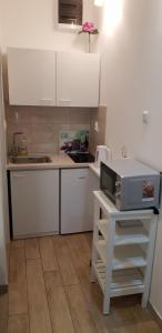 Studio Apartment Legcevic